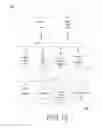 Fig. 19 - Method and apparatus for information exchange over a web based environment