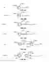 Fig. 08 - Keeping focus during desktop reveal