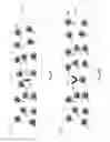 Fig. 16 - Time managed challenge-response test