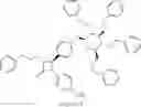 Fig. 17 - NPC1L1 orthologues