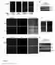 Fig. 05 - Methods for producing microRNAs