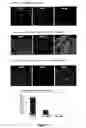 Fig. 02 - SEX-DETERMINATION AND METHODS OF SPECIFYING SAME