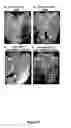 Fig. 03 - SEX-DETERMINATION AND METHODS OF SPECIFYING SAME