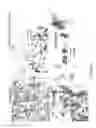 Fig. 02 - STABLY TRANSFORMED FERNS AND RELATED METHODS