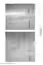 Fig. 04 - STABLY TRANSFORMED FERNS AND RELATED METHODS