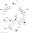 Fig. 01 - Cast pellets for planting seeds