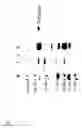 Fig. 13 - Fatty acid elongation components and uses thereof