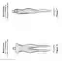 Fig. 09 - Shaped fit sizing system