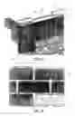 Fig. 10 - Masonry wall panel for retaining bricks