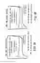 Fig. 04 - Exhaust gas purification system of an internal combustion engine