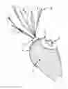 Fig. 01 - Interactive Feline Toy