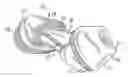 Fig. 01 - Edible pet chew