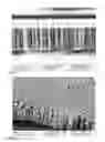Fig. 05 - Internal combustion engine having a combustion chamber surface coating or surface coating which is close to the combustion chamber and method for producing the coating