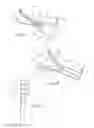 Fig. 05 - SYSTEMS AND METHODS OF ACCESSORY MOUNTING