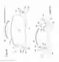 Fig. 07 - Caliper assembly for disc brake system