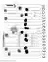 Fig. 07 - Apparatus for inspecting and sorting articles traveling on a conveyor