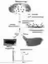 Fig. 01 - Integrated high throughput system for the analysis of biomolecules