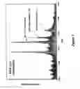 Fig. 06 - Integrated high throughput system for the analysis of biomolecules