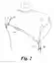 Fig. 03 - Method and system for an over the shoulder holster belt