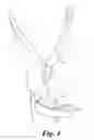 Fig. 05 - Method and system for an over the shoulder holster belt