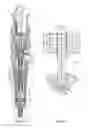 Fig. 02 - Needle valve member with frustoconical guide segment and fuel injector using same