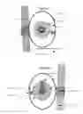 Fig. 03 - Compact Weed Trimmer Mounted Line Spooling Device