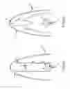 Fig. 10 - Stray light baffles for a conformal dome with arch corrector optics
