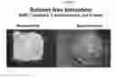 Fig. 02 - Mass spectometry using laserspray ionization