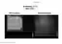 Fig. 07 - Mass spectometry using laserspray ionization