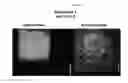Fig. 08 - Mass spectometry using laserspray ionization