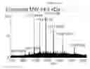 Fig. 131 - Mass spectometry using laserspray ionization