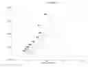 Fig. 136 - Mass spectometry using laserspray ionization