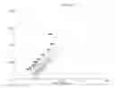 Fig. 137 - Mass spectometry using laserspray ionization