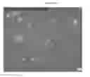 Fig. 28 - Mass spectometry using laserspray ionization