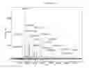 Fig. 33 - Mass spectometry using laserspray ionization