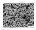Fig. 40 - Mass spectometry using laserspray ionization