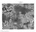 Fig. 41 - Mass spectometry using laserspray ionization