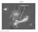 Fig. 48 - Mass spectometry using laserspray ionization