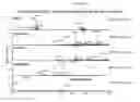 Fig. 82 - Mass spectometry using laserspray ionization