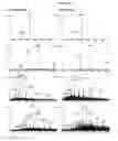 Fig. 97 - Mass spectometry using laserspray ionization