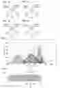 Fig. 02 - Silicon oxide and negative electrode material for lithium-ion secondary battery