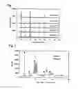Fig. 02 - Tin oxide particles and process for producing the same