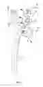 Fig. 02 - String loop tensioning pliers device and method of use