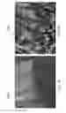 Fig. 08 - Near field electrospinning system for continuous, aligned fiber tows