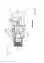 Fig. 08 - Connecting device with locking by threaded claws and connector comprising such a device