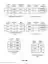 Fig. 11 - Following Data Records in an Information Feed