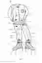 Fig. 02 - PEDOBAROGRAPHIC BIOMETRIC SYSTEM