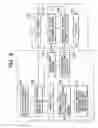 Fig. 09 - Method of generating moving picture information