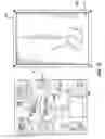 Fig. 06 - SENSOR-ACTIVATED STILL AND VIDEO IMAGE DISPLAY