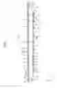 Fig. 06 - Lighting device, display device and television receiver